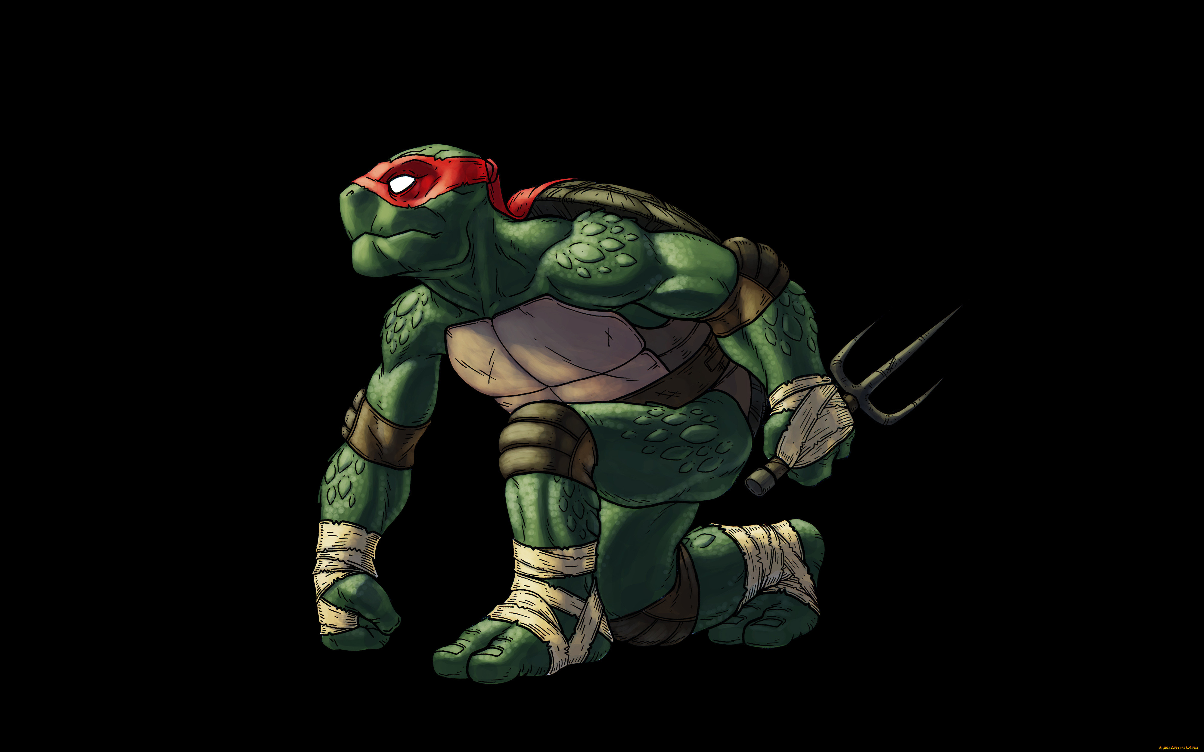  , , , tmnt, , , teenage, mutant, ninja, turtles